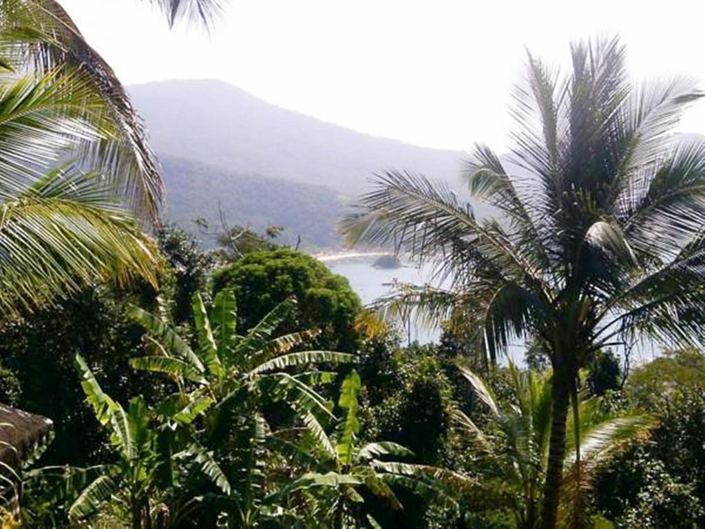 Bosque Dos Esquilos Abraão Exterior foto