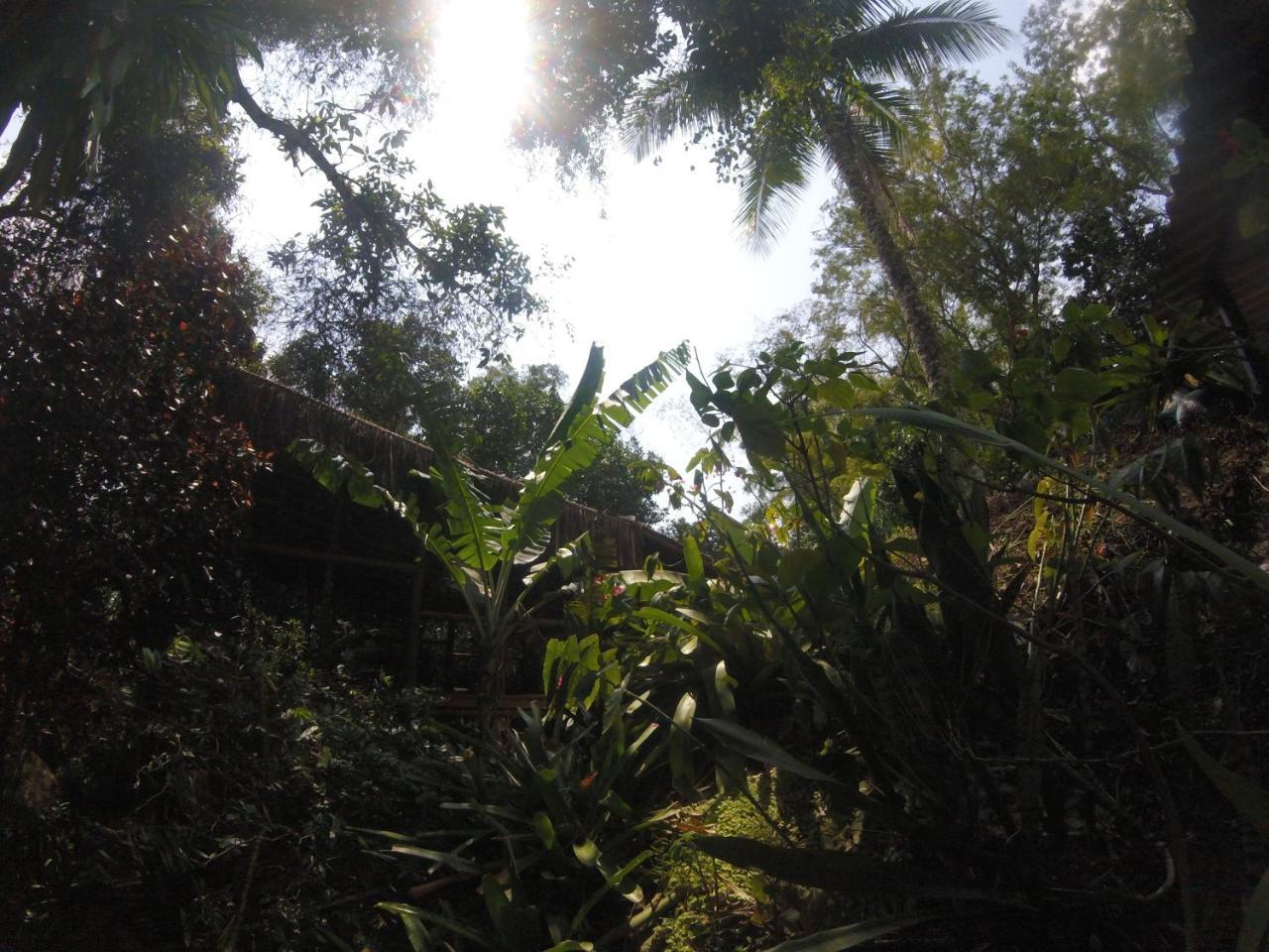 Bosque Dos Esquilos Abraão Exterior foto